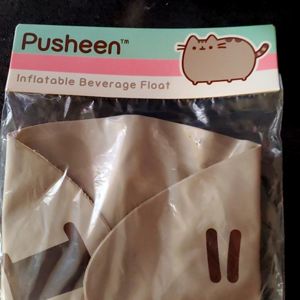 Pusheen Inflatable beverage float